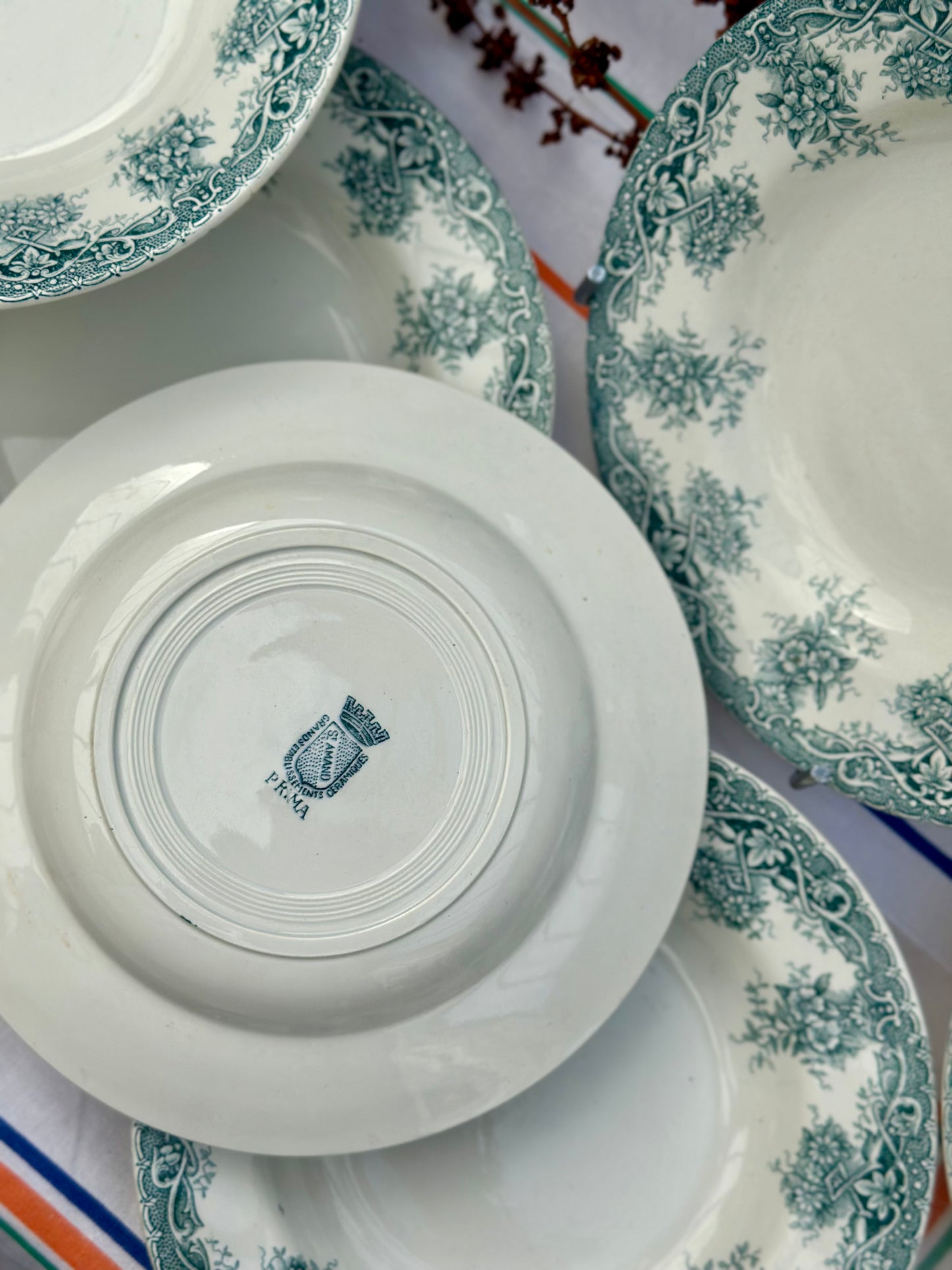 7 assiettes creuses Saint Amand Terre de Fer