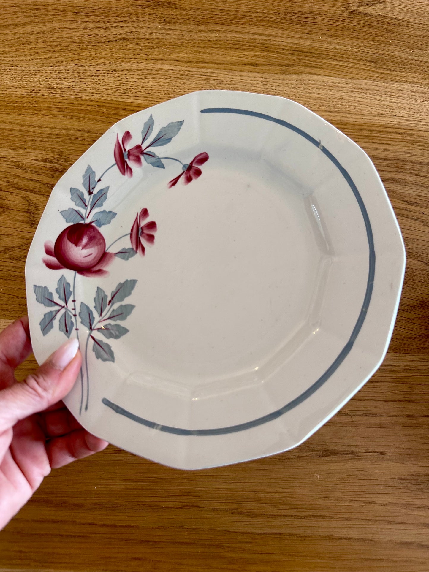 2 assiettes plates Ceranord Saint-Amand