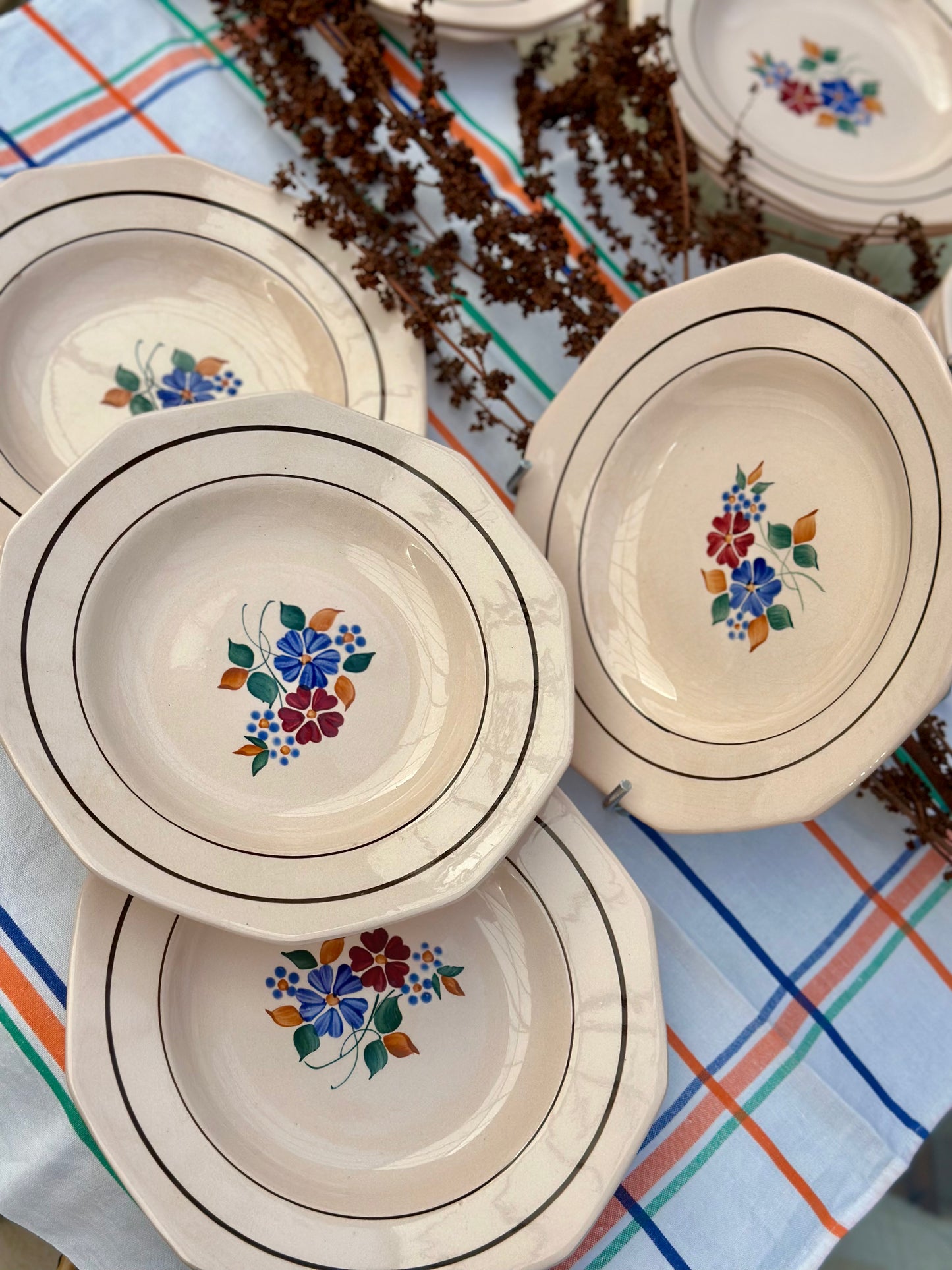 9 assiettes creuses Saint Amand Amandinoise