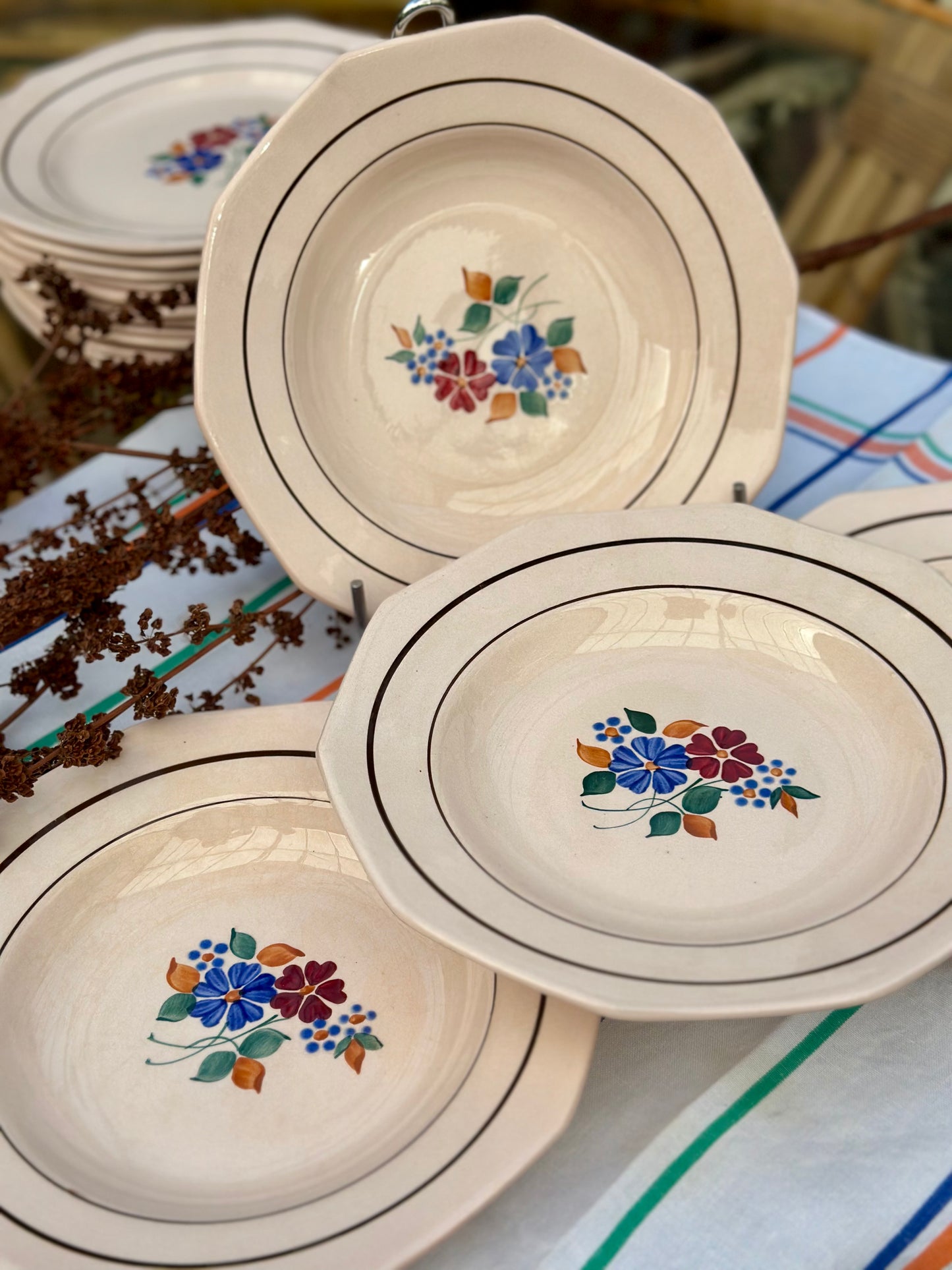 9 assiettes creuses Saint Amand Amandinoise