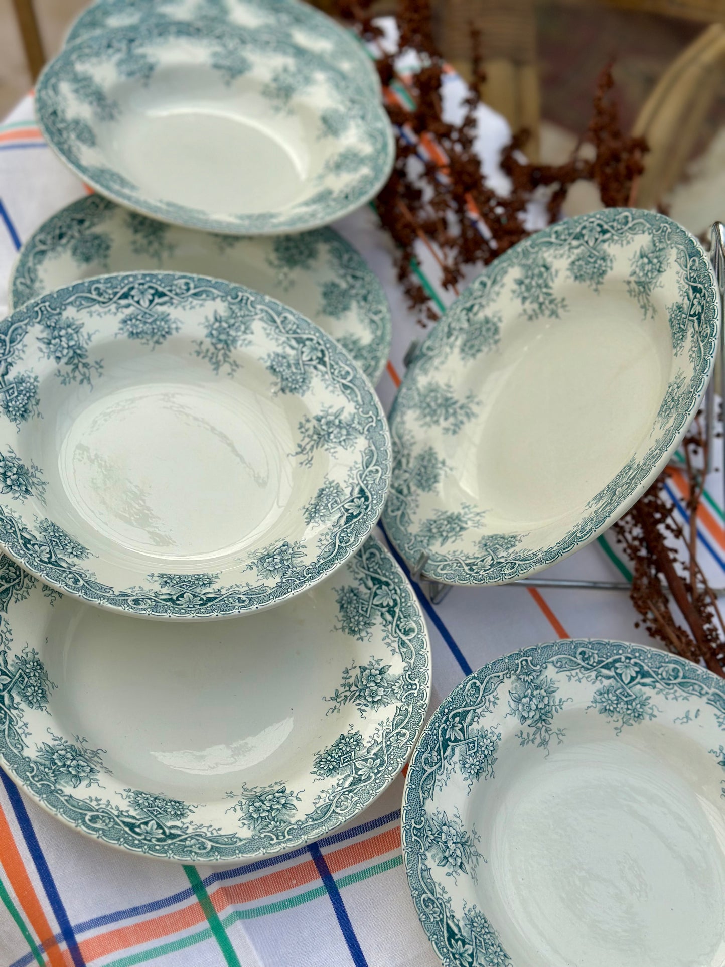 7 assiettes creuses Saint Amand Terre de Fer