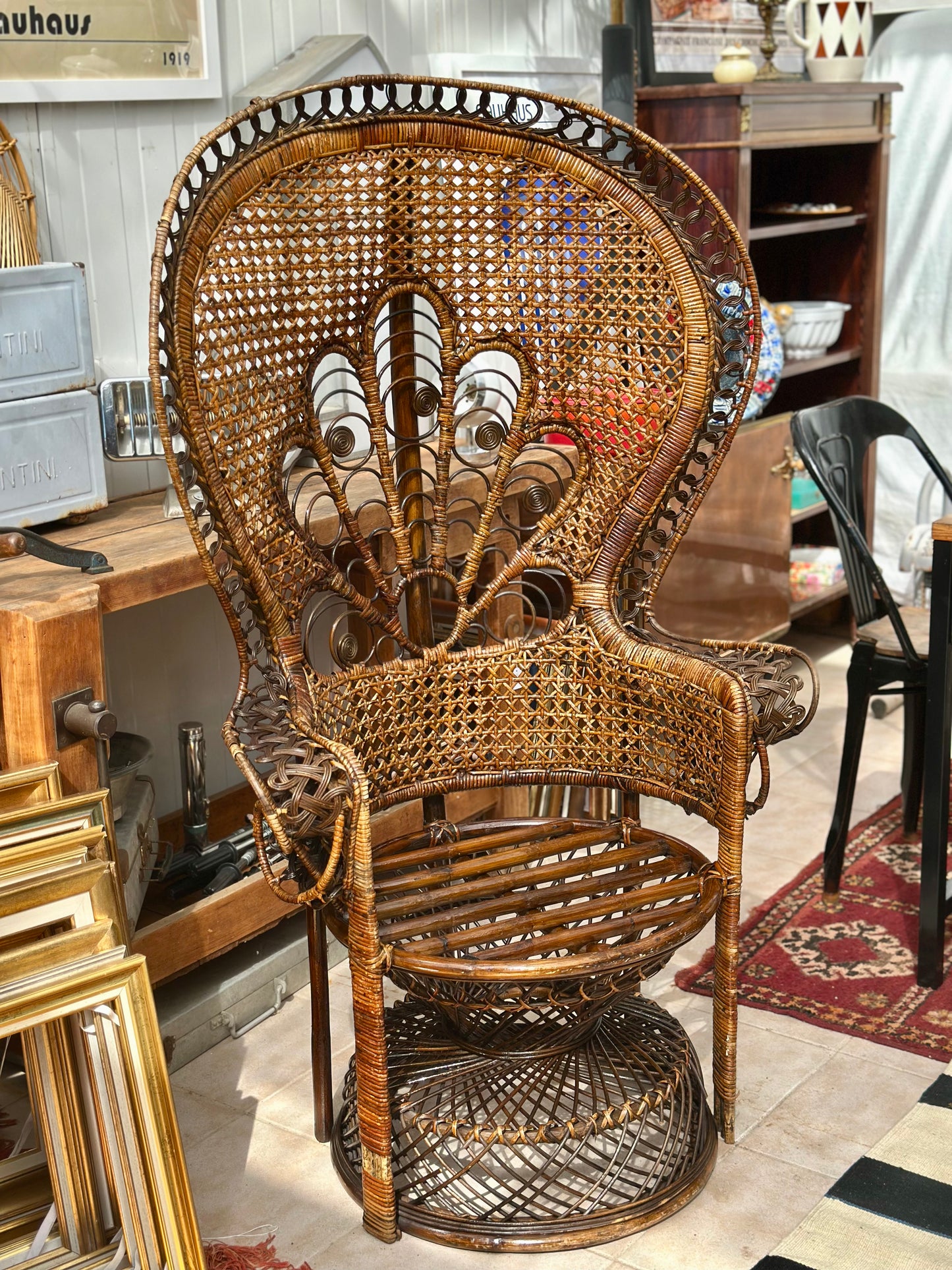 Fauteuil Emmanuelle modèle Paon