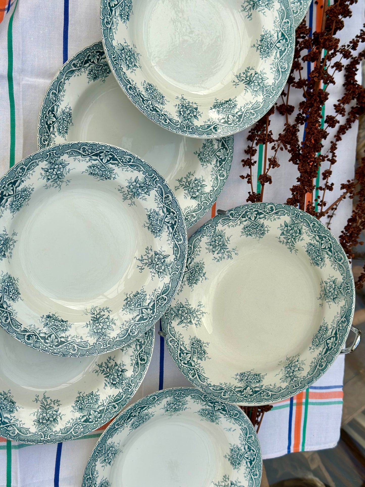 7 assiettes creuses Saint Amand Terre de Fer