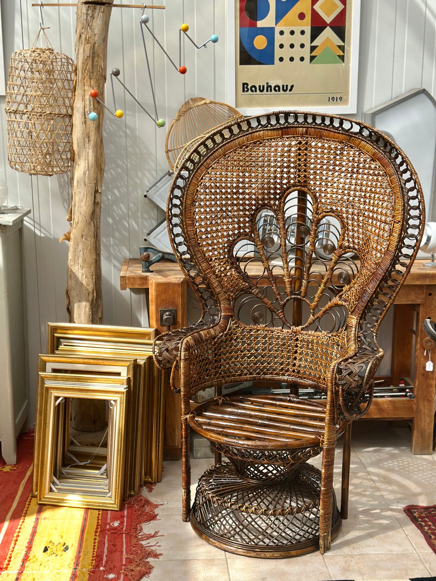 Fauteuil Emmanuelle modèle Paon