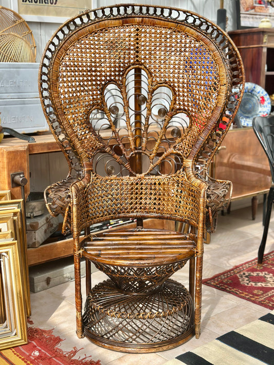 Fauteuil Emmanuelle modèle Paon