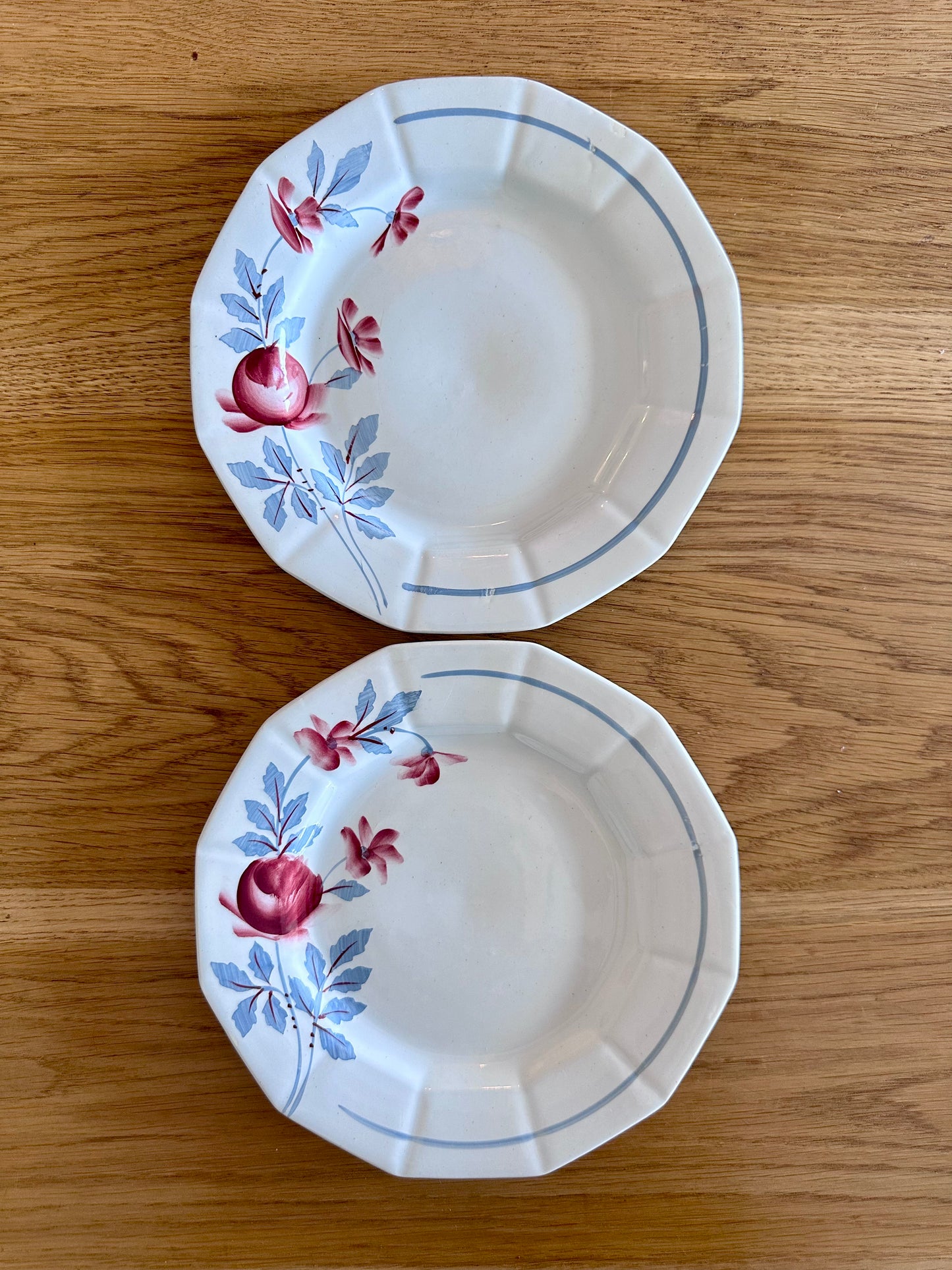 2 assiettes plates Ceranord Saint-Amand