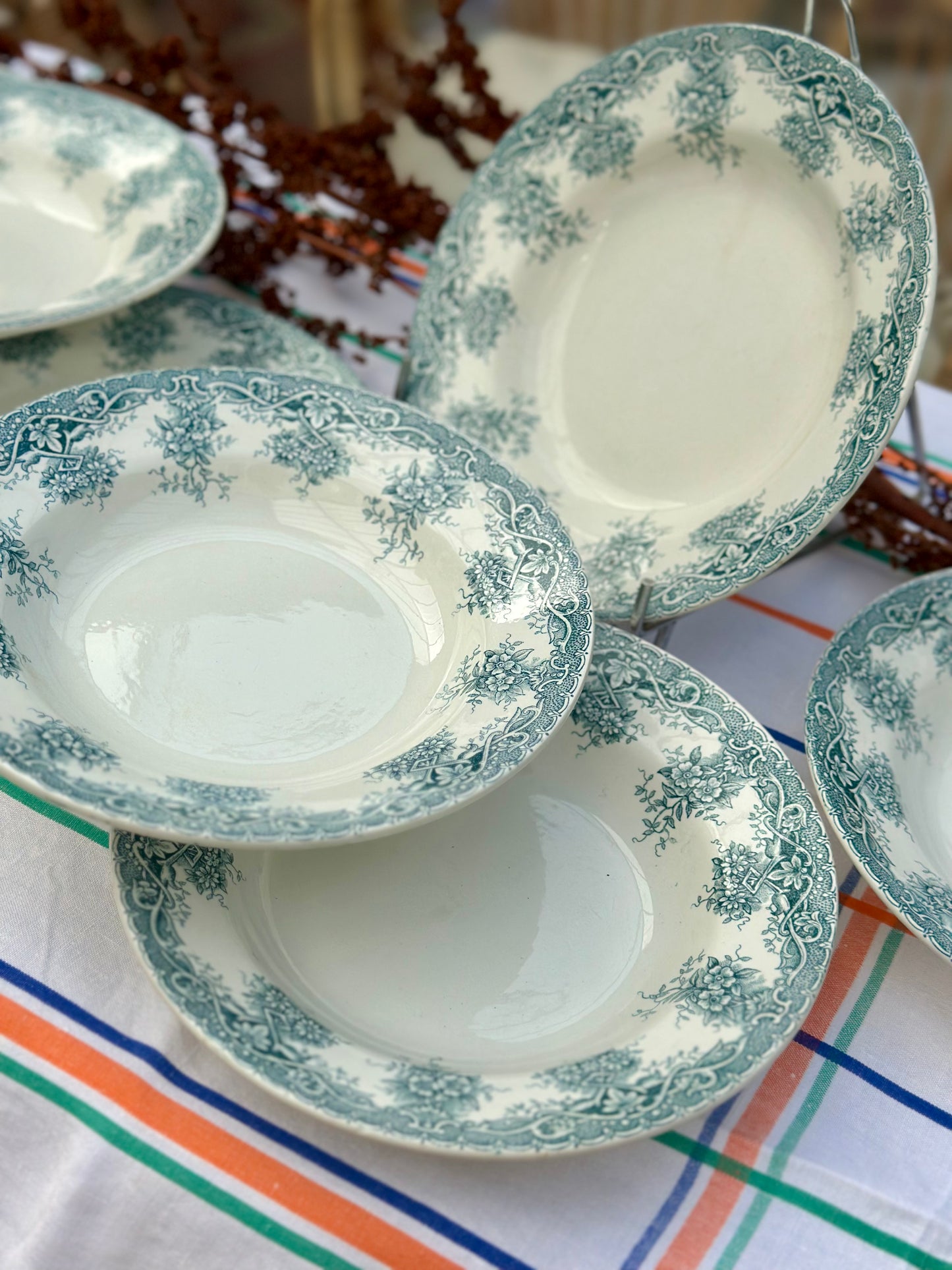 7 assiettes creuses Saint Amand Terre de Fer